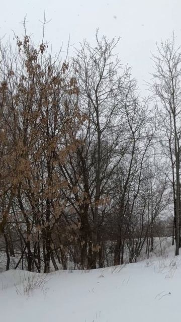 О судах(2)