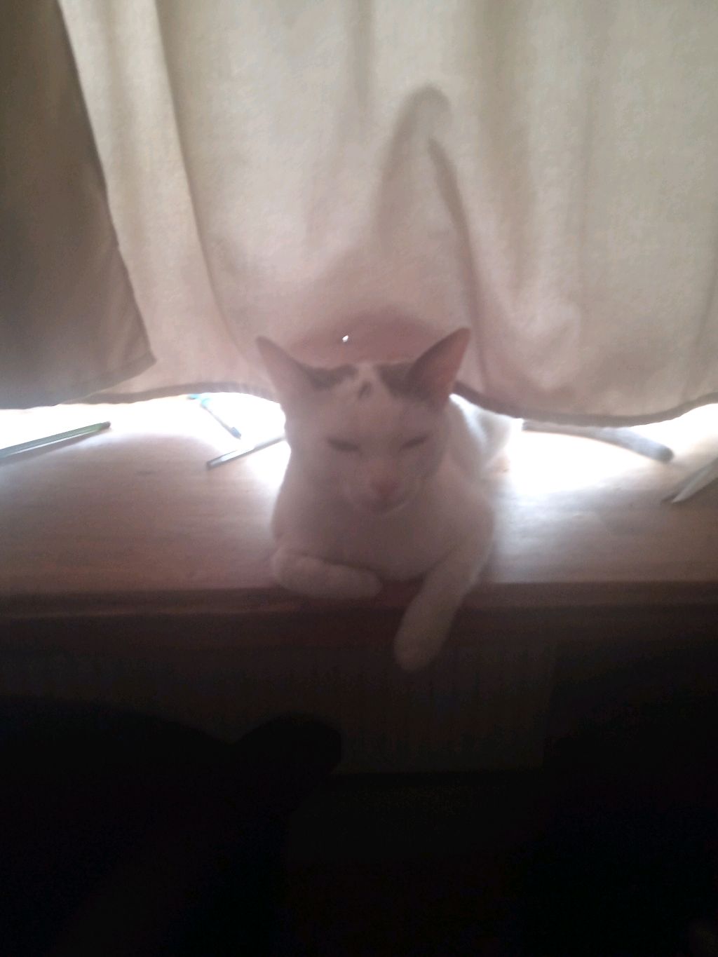 Супер звезда