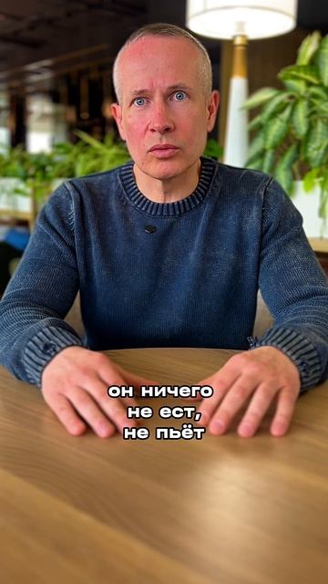 Проверено на личном опыте