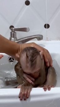 Обезьянка 🙊😊