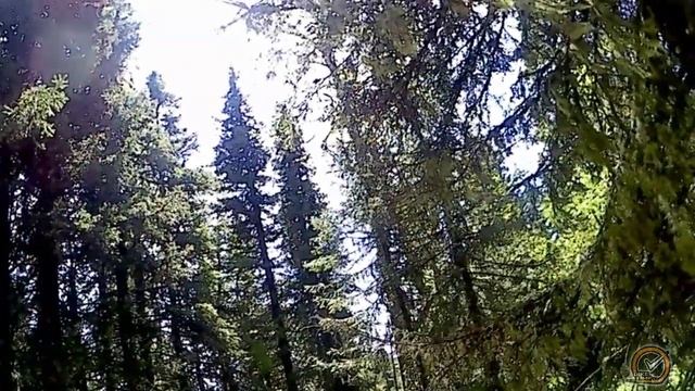 Иремель 22.06.2019  (Вот это я налепииил)