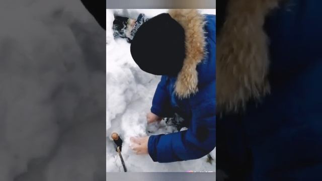 Домик на Дереве в городе Томск