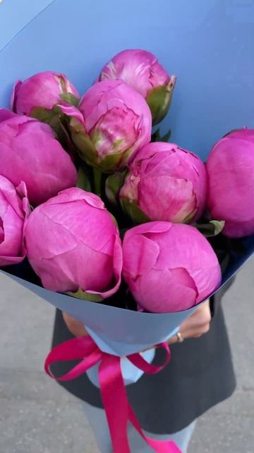 9 пионов Флеминг#цветымосква
