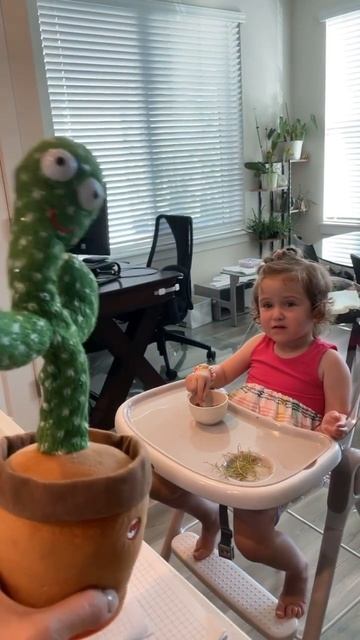 Говорящий кактус для Фины ))