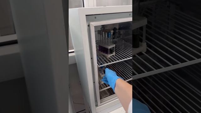 Вы будете в шоке!!!