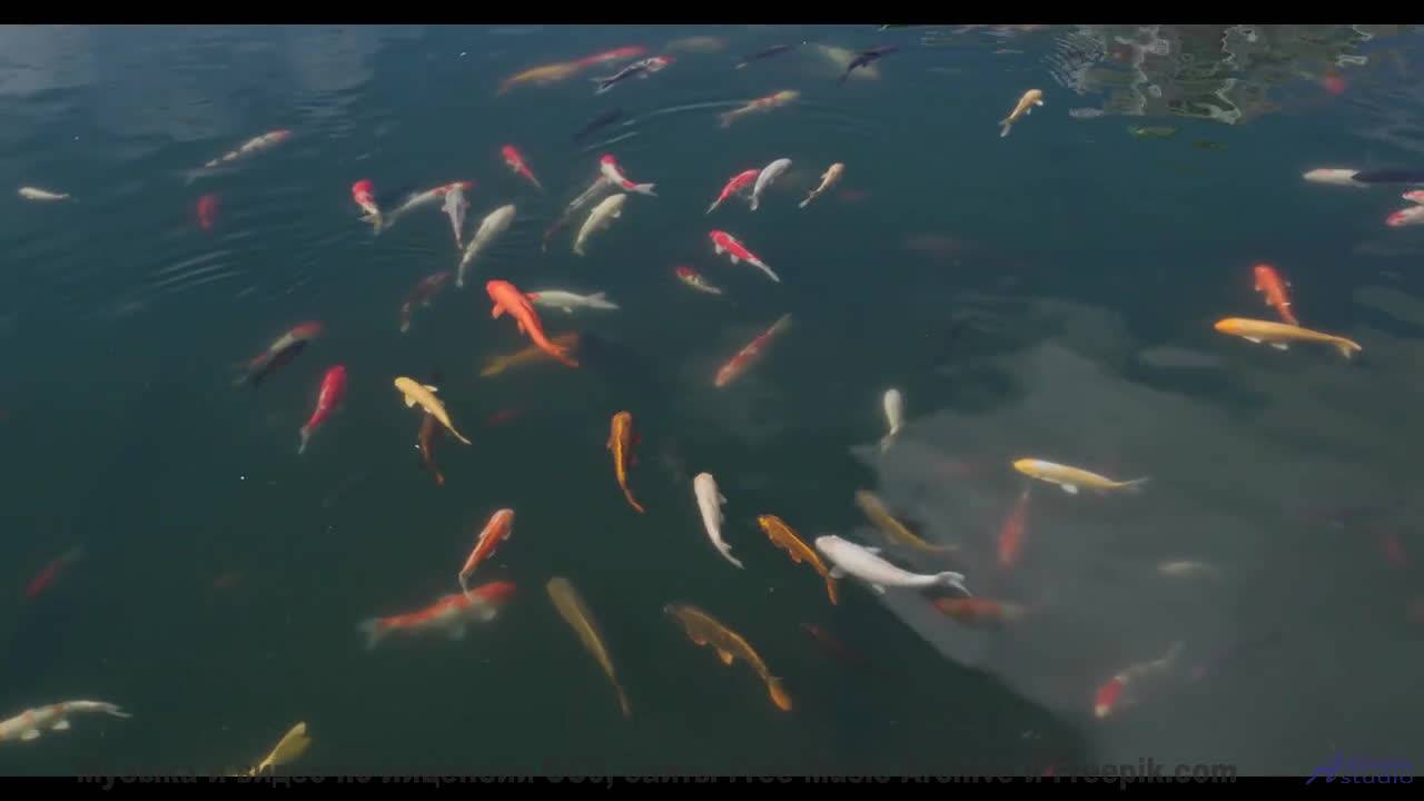 Клип, созданный квантовым компьютером - будущее наступило! - Oouu La La -- SUPERARE -- VII