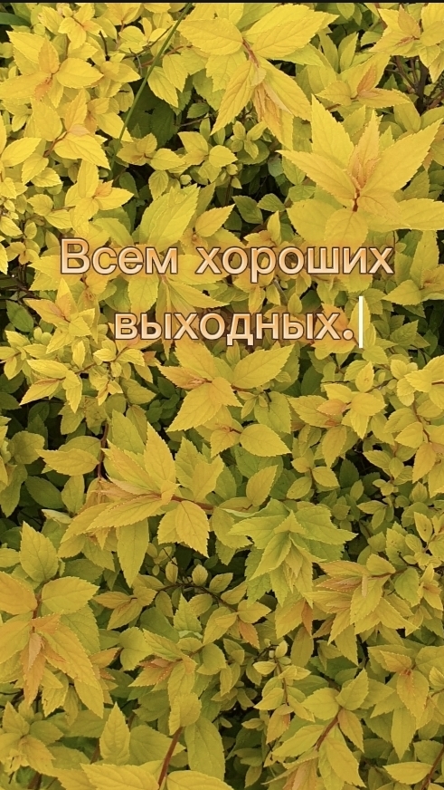 Всем хороших выходных.