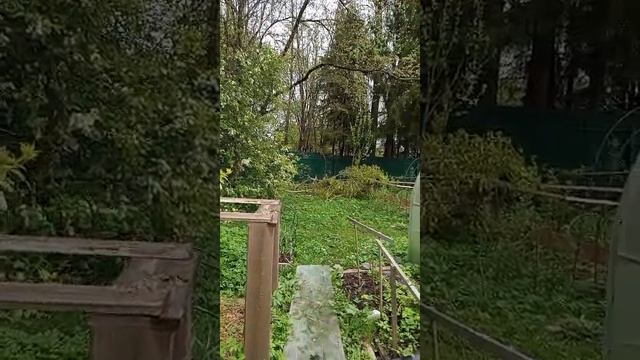 2025-05-08  Последствия  майского снегопада на даче.