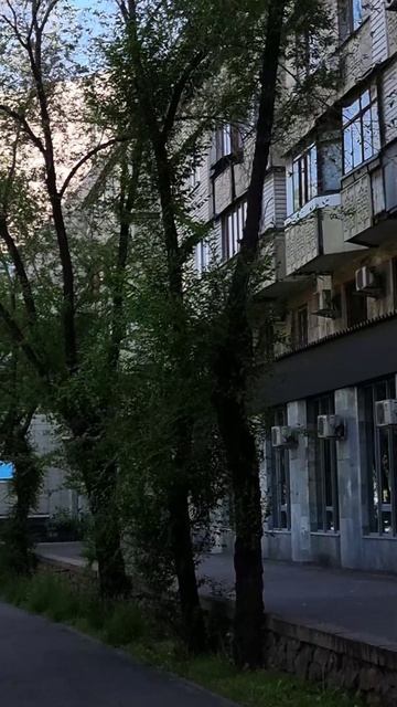 Утро Алматы. 08_05_25