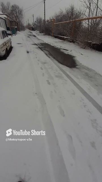 ВОТ ТАКОЙ ВОТ НАТЮРМОРТ!!!Shorts