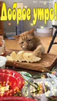 Доброе утро!) Чудесного дня!)#доброеутро