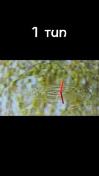 два типа рыбаков #fishing #80smusic #automobile #music #lake #nature #fish #song #car