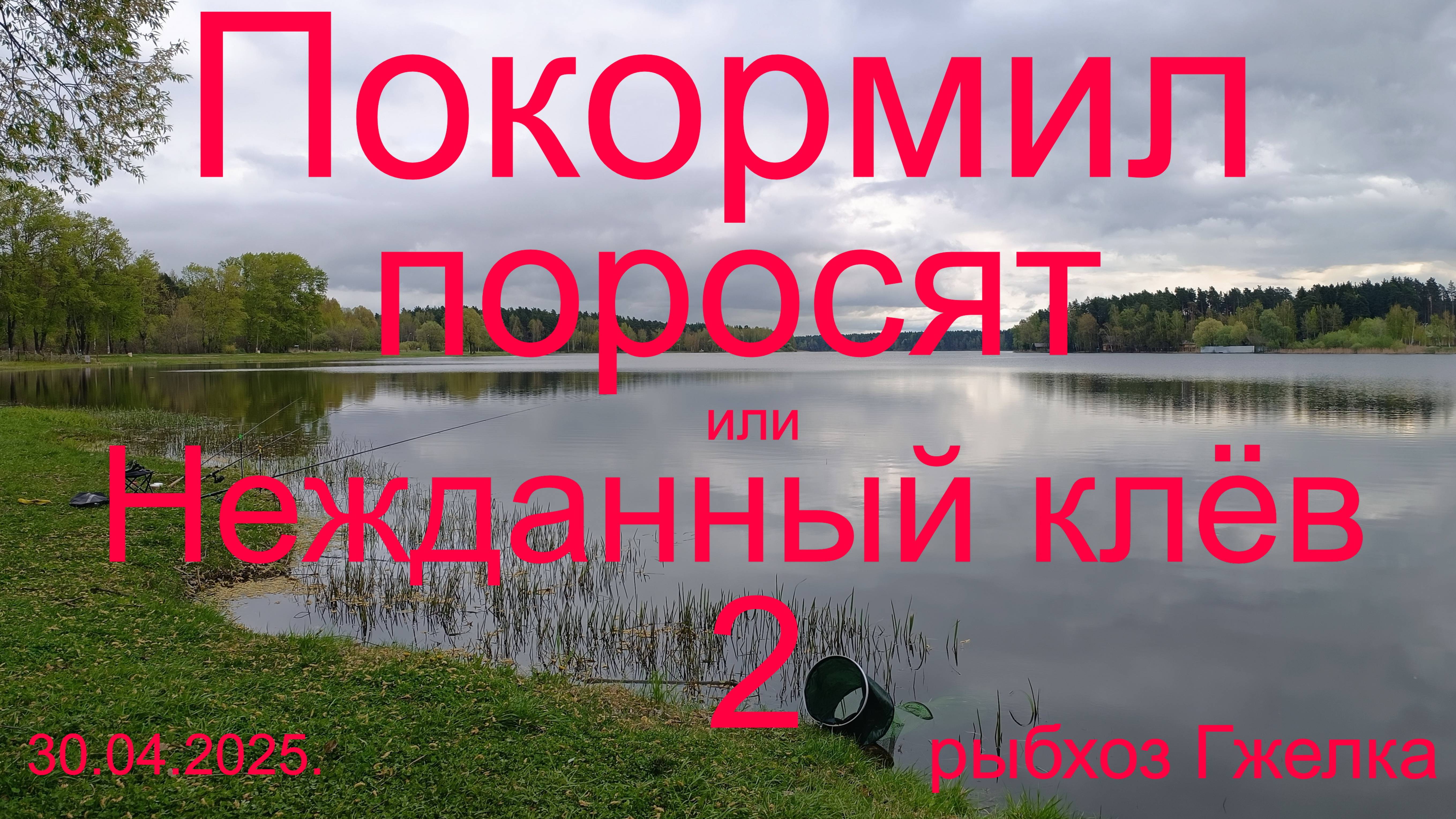 Покормил поросят и домой или Нежданный клёв 2. 30.04.2025.Рыбхоз Гжелка. Пруд Нагульный 1.