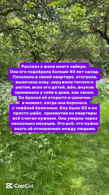 история #жизнь #этожизнь
