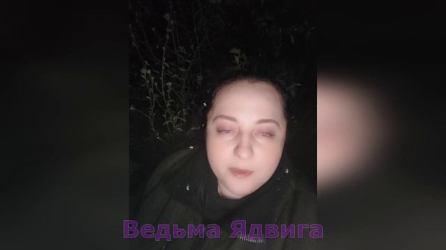 Ночь. Собираю цветы ирги