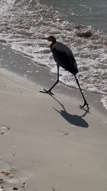 КУБА/ ОСТРОВ КАЙО КОКО