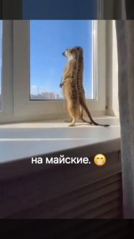 1000010545.mp4