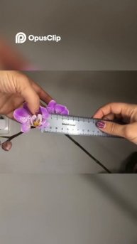 Почему Цветы Орхидей Становятся Меньше? Обнаруживаем