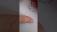как нарисовать анимэ голову