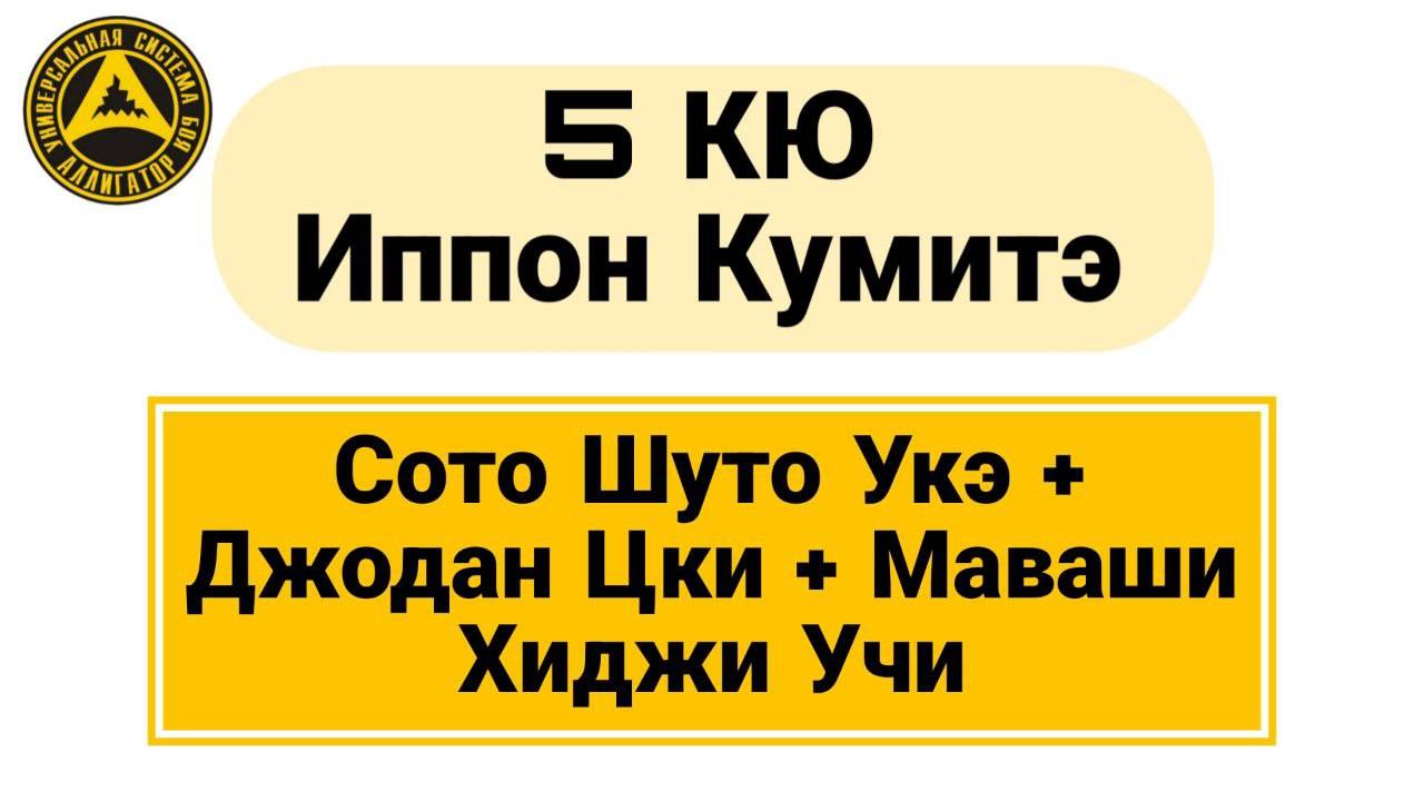 5 Кю Иппон Кумитэ: Сото Шуто Укэ + Джодан Цки + Маваши Хиджи Учи