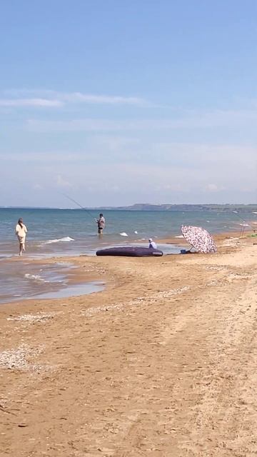 Кучугуры отдых 🌊 гостевой дом Золотые пески 89189630850