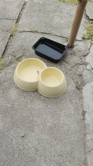 Сильно переживаю за Ганса.