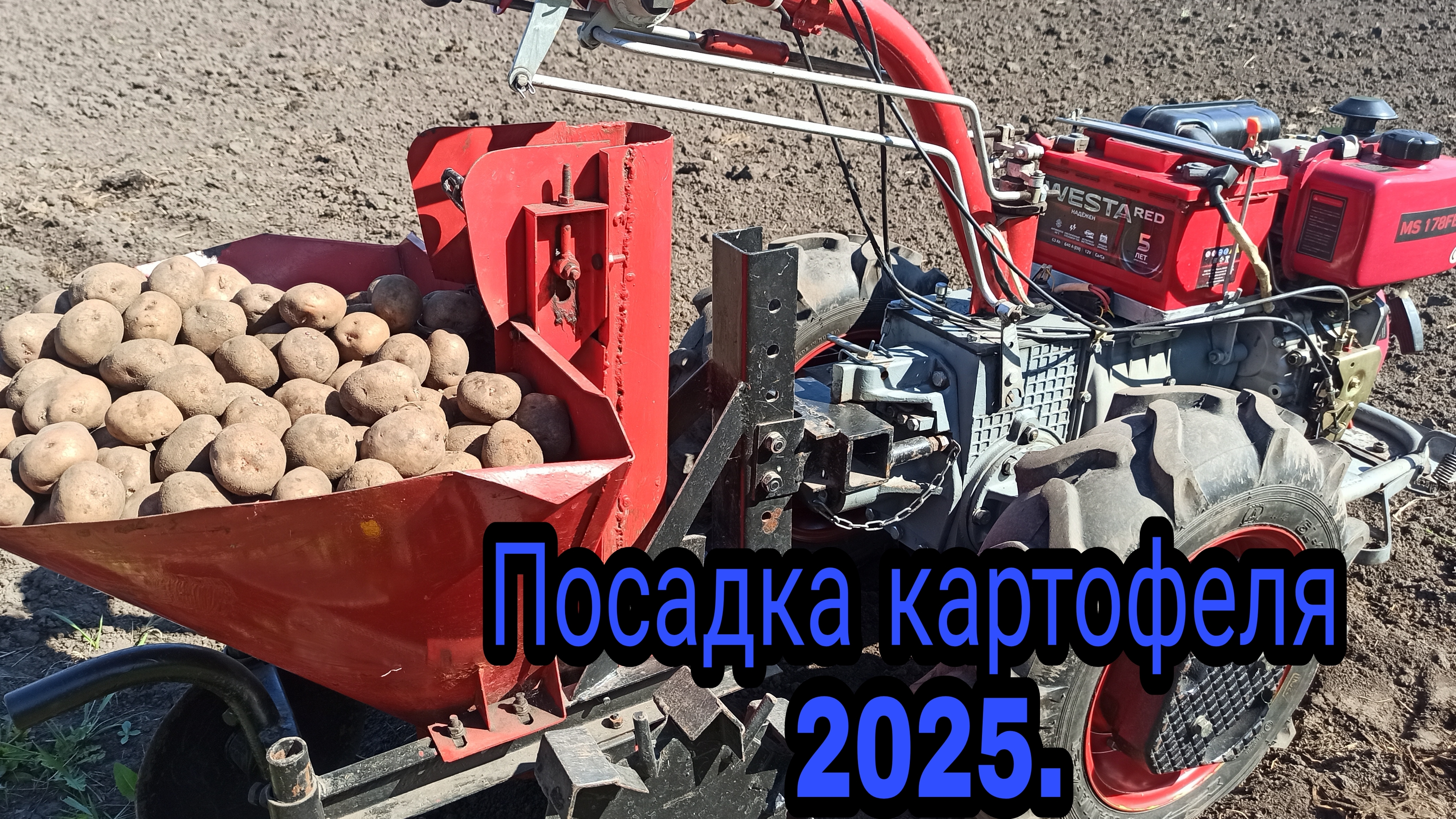 08-05-2025 Видео, посадка картофеля.Мотоблок Мотор Сич и Серега💪💪💪