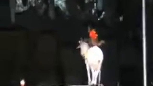 Horrible Incident / Lviv Circus ( Жесть ) / Ужаснейшее видео в цирке, ЭТО надо видеть