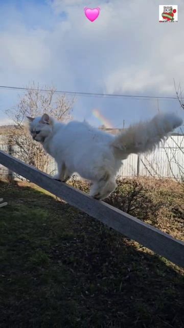 Отче наш 😇🌈💓🙏😻