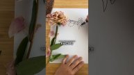 ✍️Рисуем пионы не отрывая руки! Регистрация на масте?