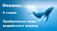Океаны. Прибрежные воды индийского океана (6/8)