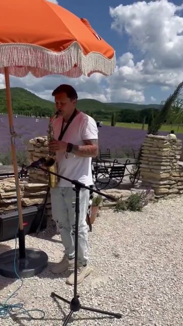 Саксафон и лавандовое поле под Анапой