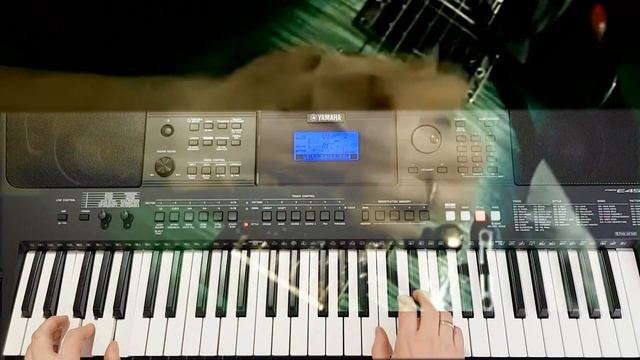 Метеорит Бутырка Yamaha PSR-E453⁄E463⁄E443 Style Sh1-E453