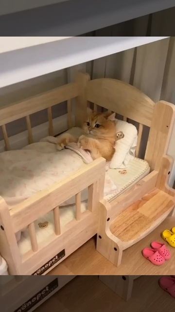 А ты чего ещё не спишь?