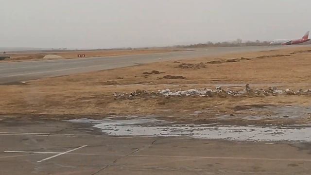 Взлёт самолёта в г. Благовещенск Авиакомпании Россия @