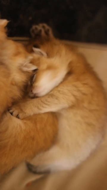 Щас спою 😆
Самый забавный возраст у малышей 🍼