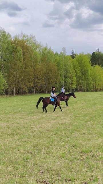 Ульяна на Флейте, Алена на Аквилоне, совместная рысь в поле, очень красиво.