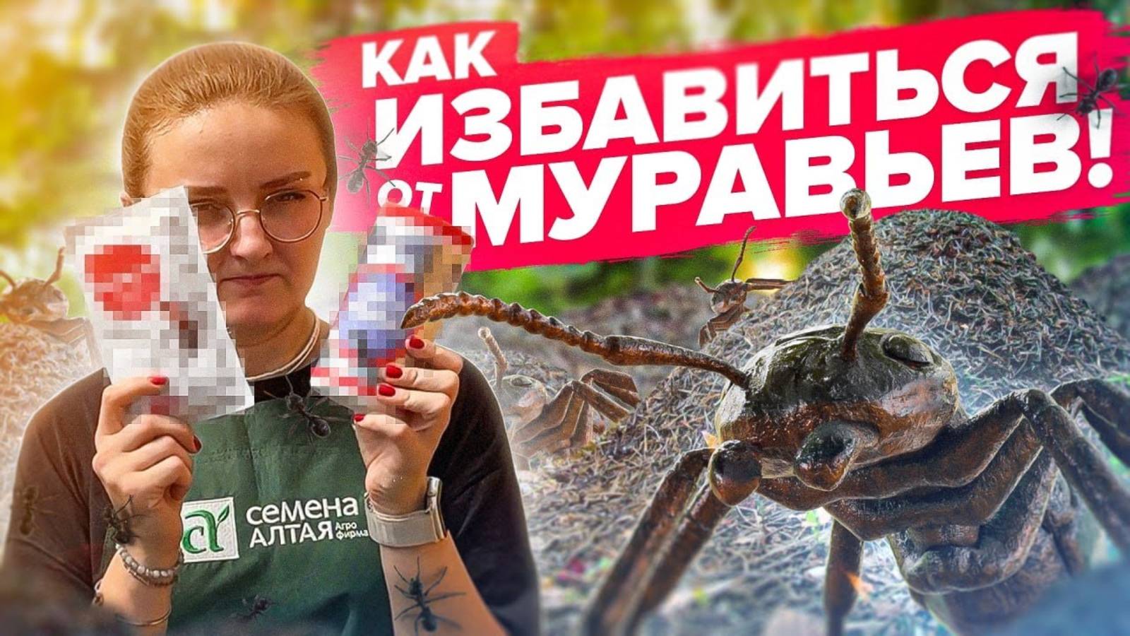 КАК ИЗБАВИТЬСЯ ОТ МУРАВЬЕВ НАВСЕГДА