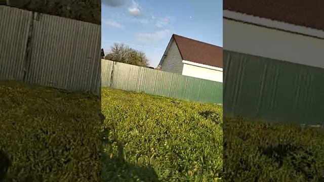 VID_2025_05_08_18_22_08_1853884203339763540165