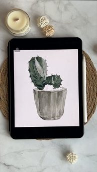 Рисуем кактус 🌵 #noartnomart #procreate #digitalillustration #painting #plants #cact