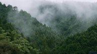 Пейзажи звучат сильнее любого оркестра здесь - Mont Blanc -- Podington Bear -- Homage Fromage (Box S