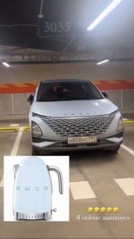 Девушка разгадала, чем вдохновлялись инженеры китайс?