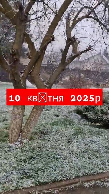 Бронюйте альтанки #беседки #альтанки в Казковому Селі