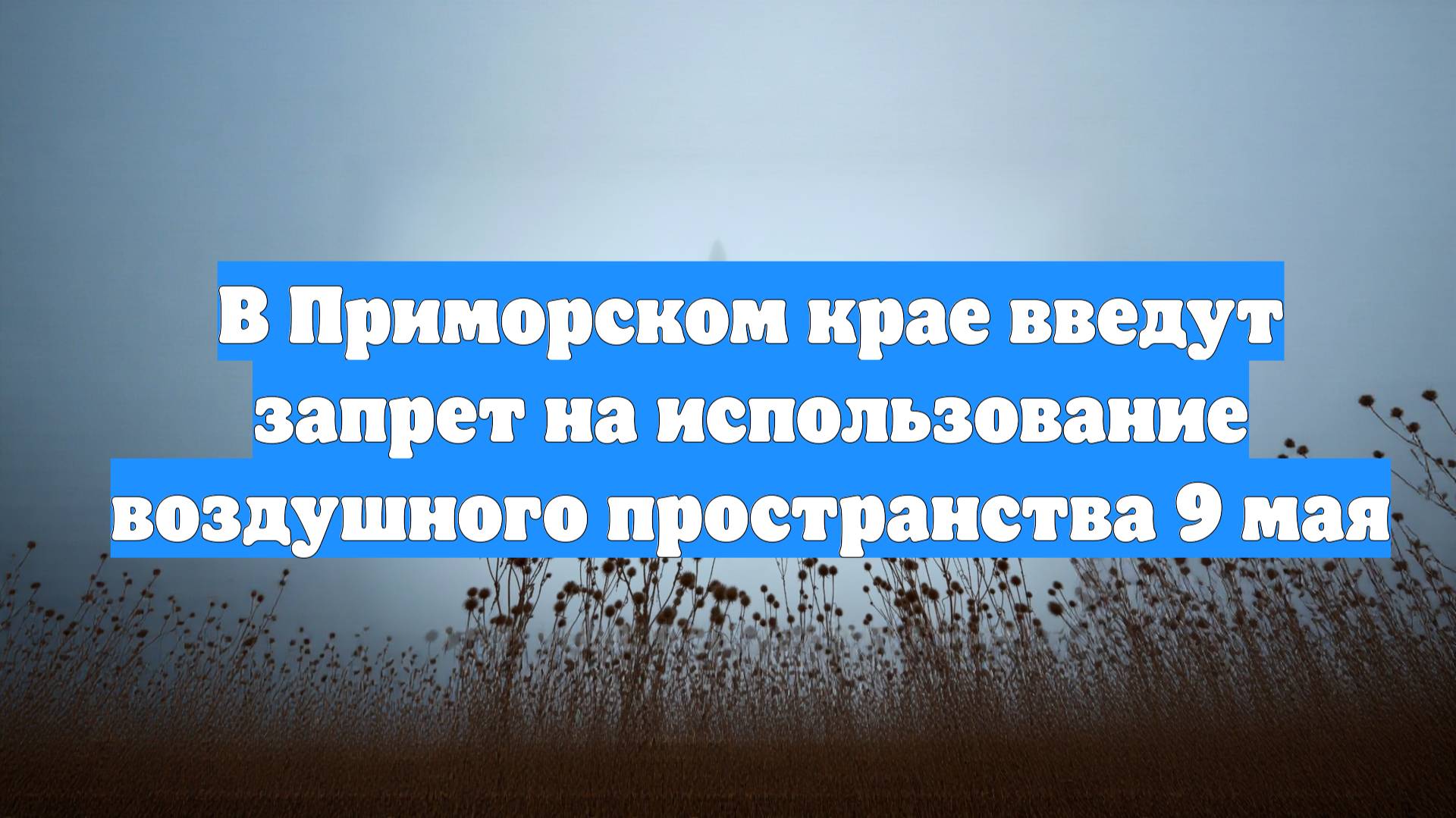 В Приморском крае введут запрет на использование воздушного пространства 9 мая