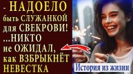 Истории из жизни БУНТ в Новогоднюю ночь НЕВЕСТКА возмутилась и Аудио рассказы, жизненные истории