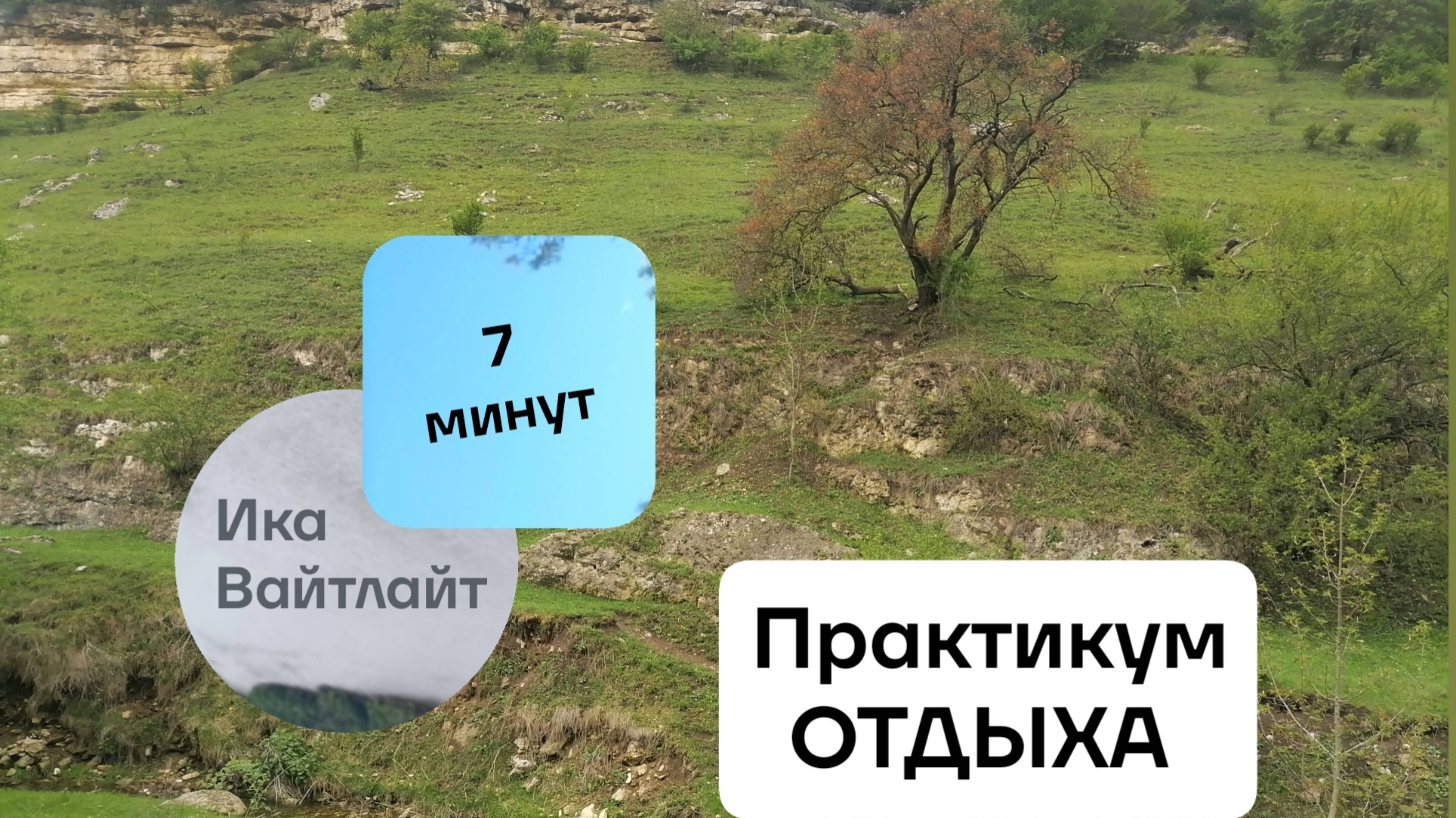 Практикум ОТДЫХА
#ИкаВайтлайт