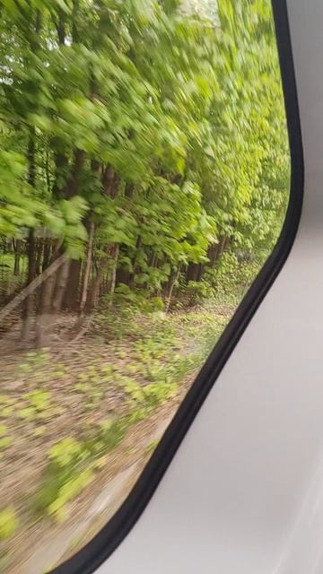 1000048482.mp4