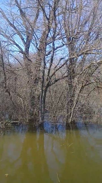 Весенний разлив Хопра и озера Подпесочного,Урюпинск.М