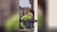Best video of Tik Tok! 08.05.25 / 11