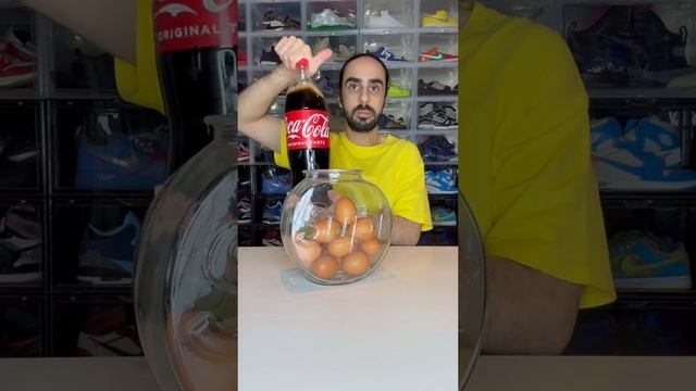 2025-05-08T03:25:20.189Z